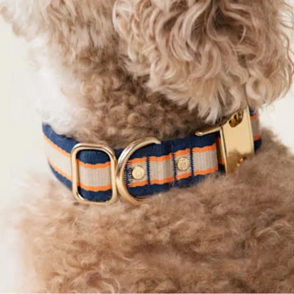 Harry Barker Tan Classic Striped Dog Collar, Medium - Picture 1 of 8